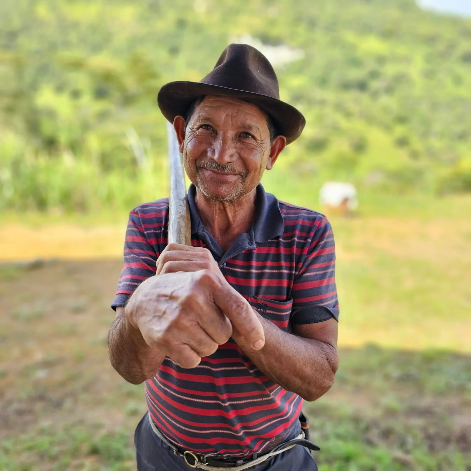 Caficultor colombiano