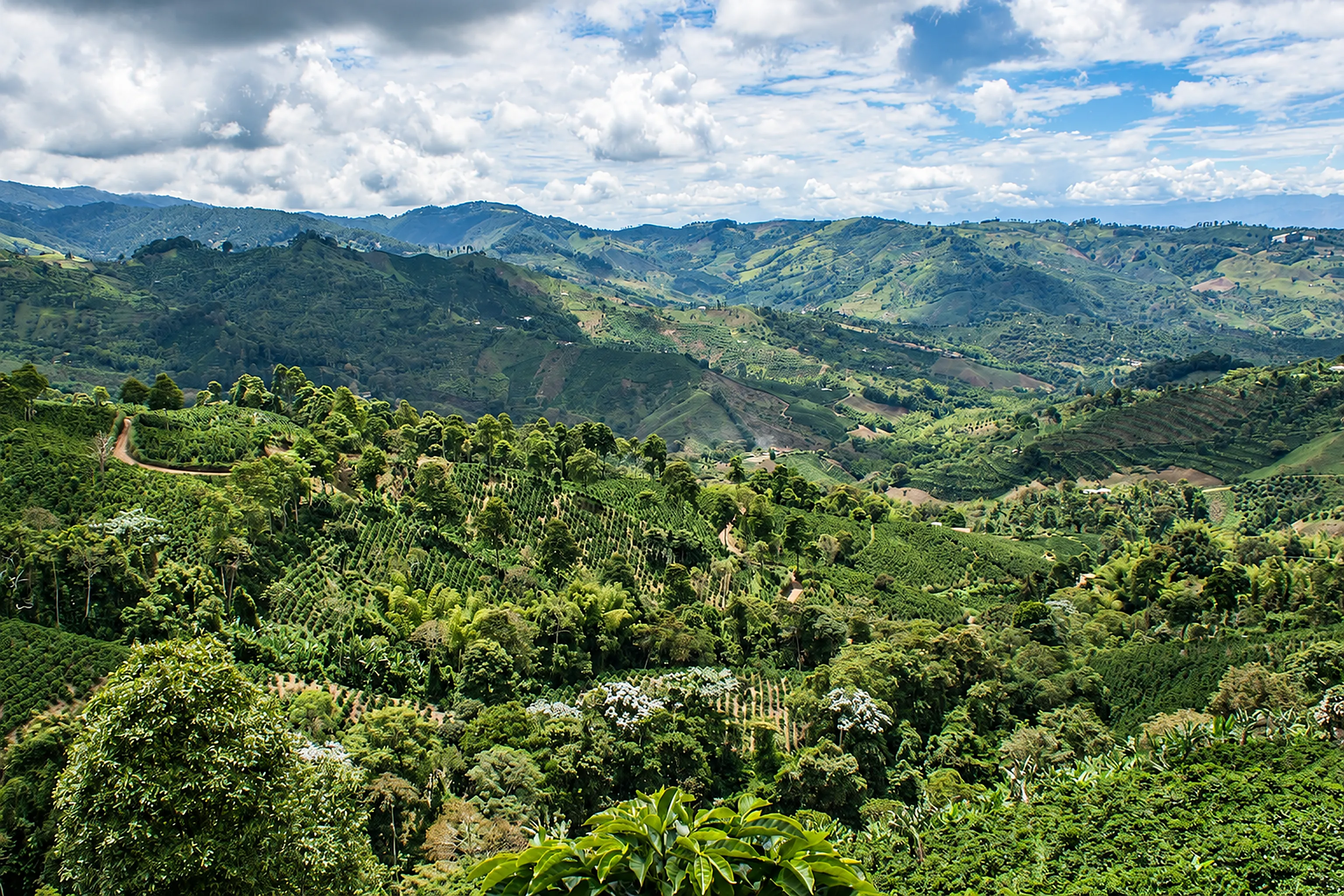 Montañas andinas de Colombia